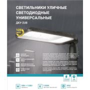 Светильник уличный линзованный светодиодный ДКУ-2UB 70Вт 230В 5000К 8750лм 125лм/Вт универсальный IP65 NEOX 4690612057422